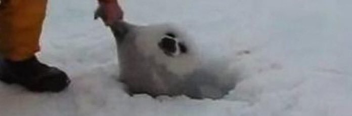 tricoteuse sexy banner