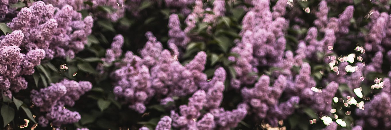 FaithHendy's profile banner image
