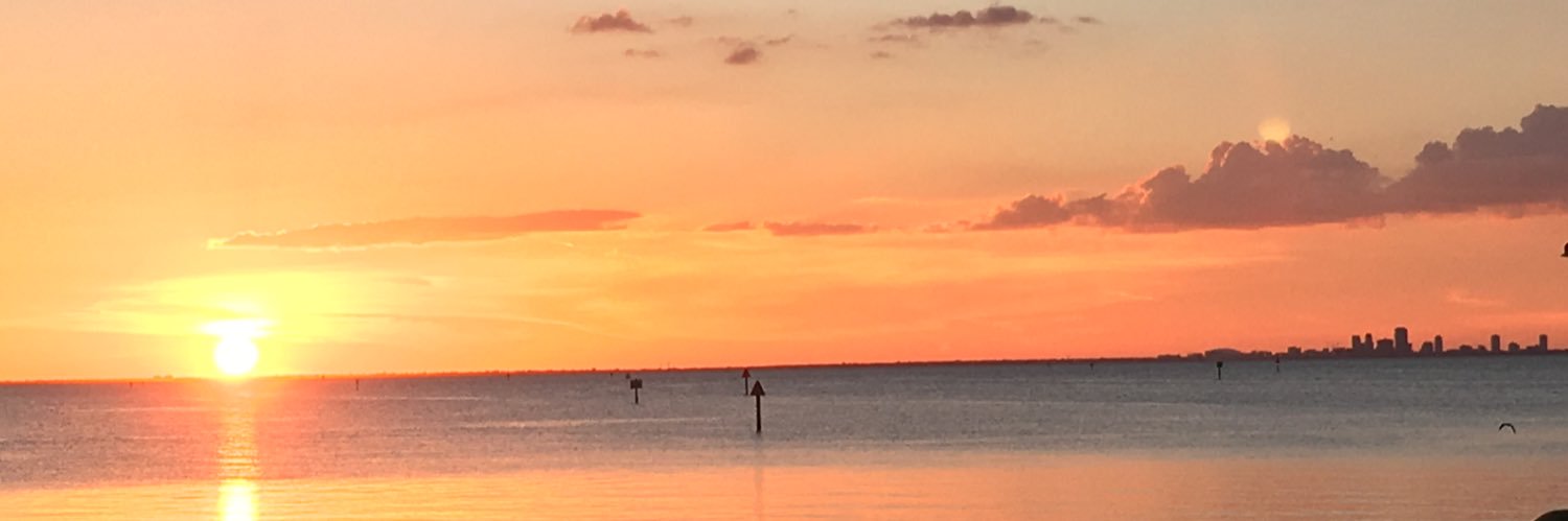 Thatsportsguy91's profile banner image