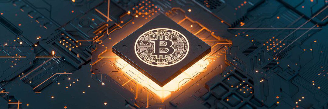 Styler Walker banner