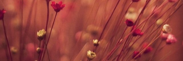 roo7alsama's profile banner image