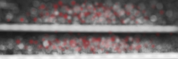 DroneCapone Profile Banner