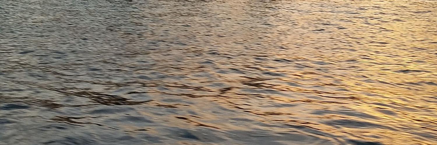 AoSfog123's profile banner image