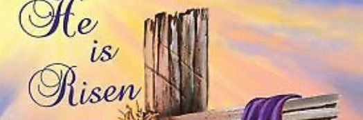 jennifer M banner