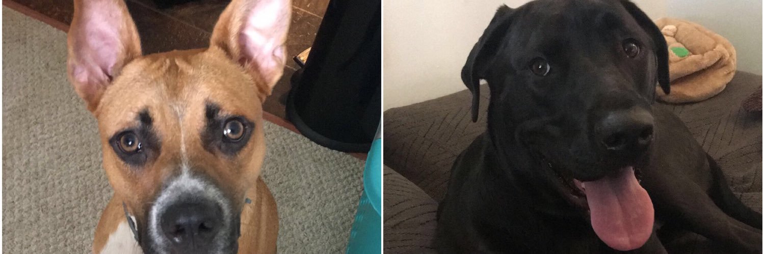 BadAndBecky's profile banner image