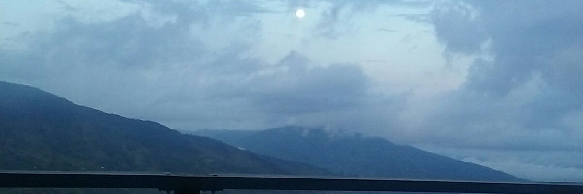 alixconfitico's profile banner image
