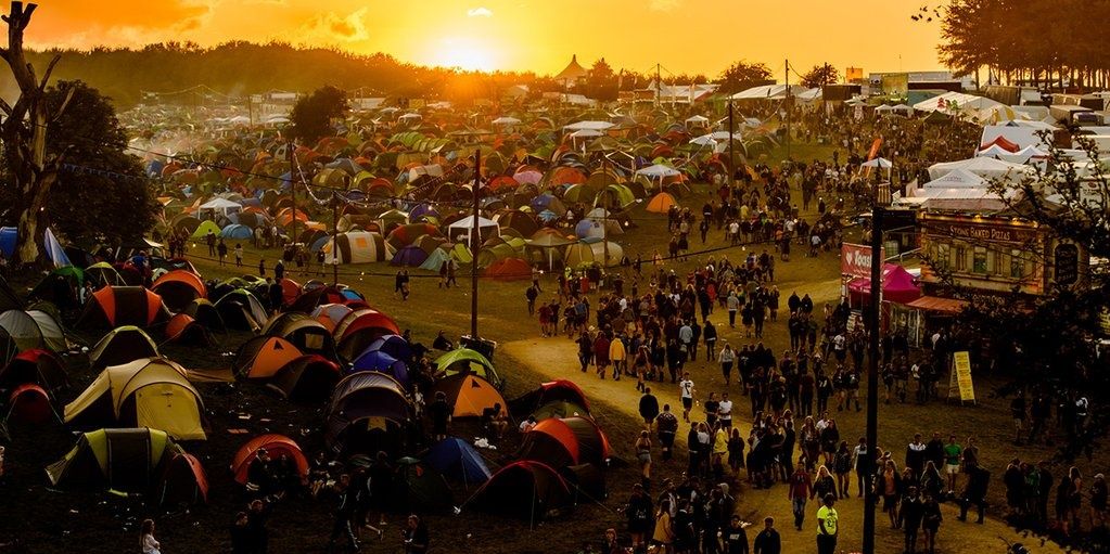 Mathew McDonald banner