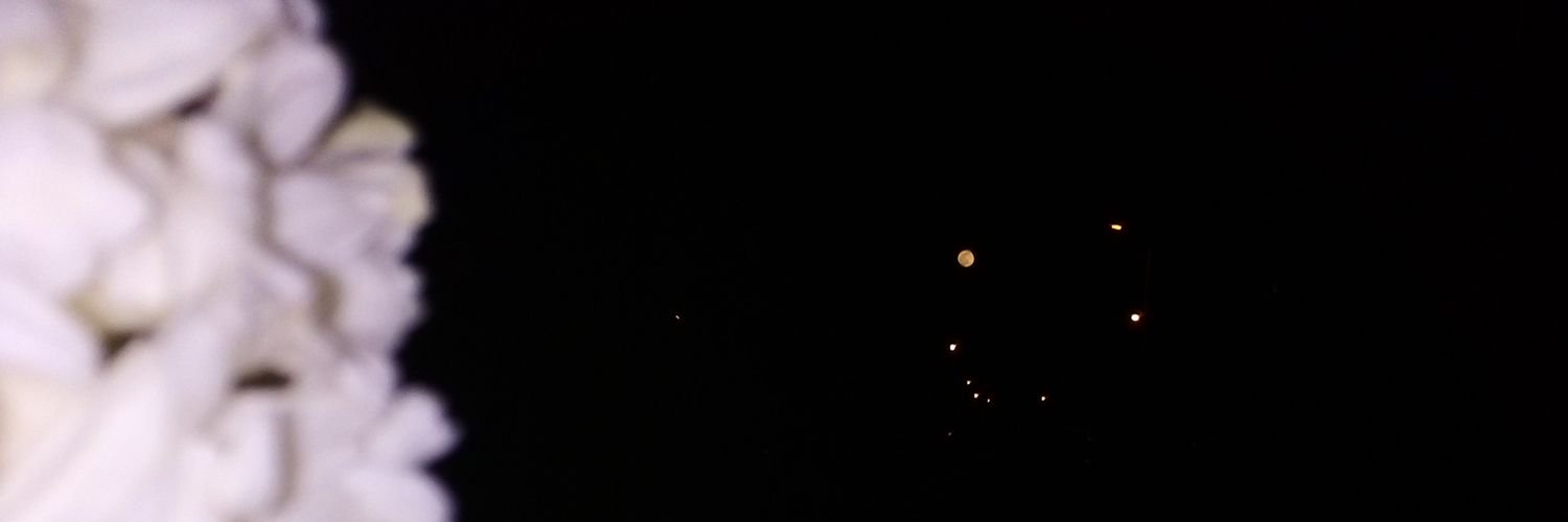 esma_hifa's profile banner image