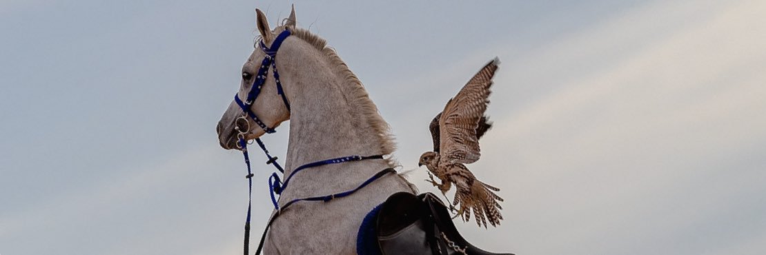 Turki Muteb banner