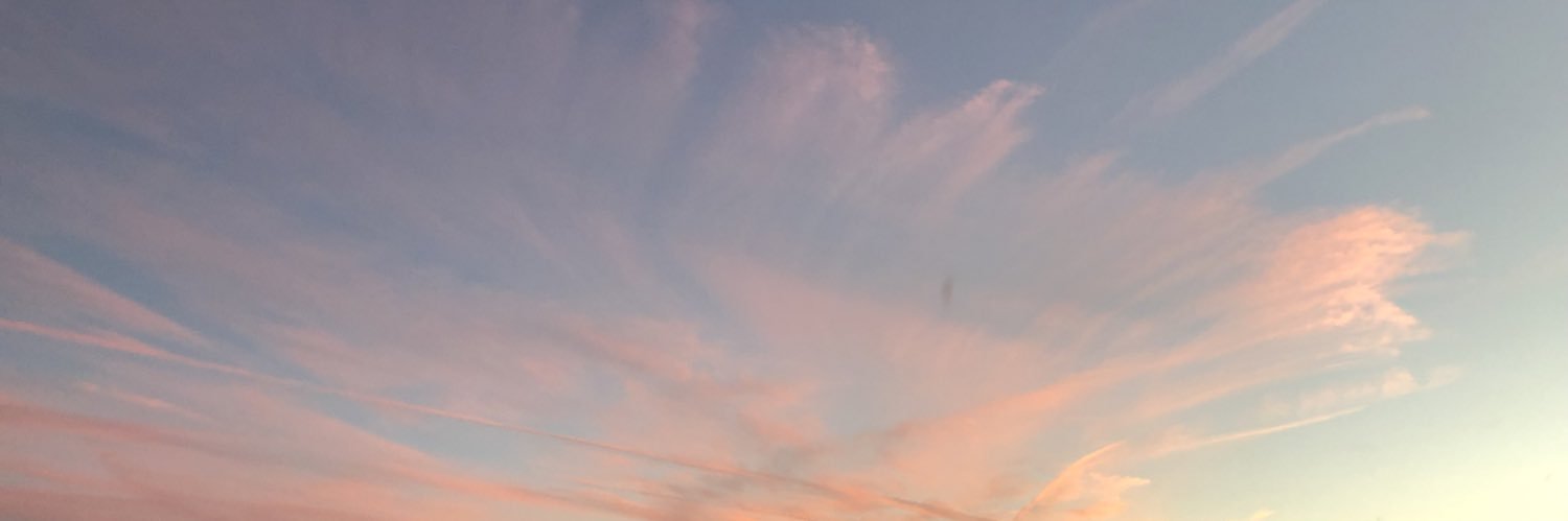 perksofhaley's profile banner image
