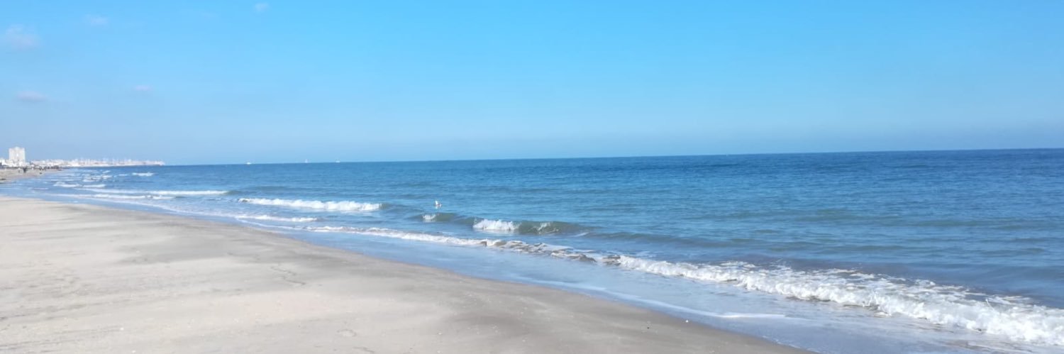 Fulvio Frati banner
