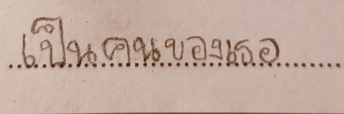 เค้าแมว banner