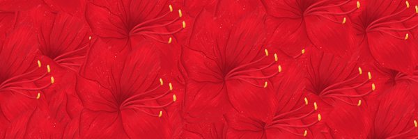 MatteStories Profile Banner