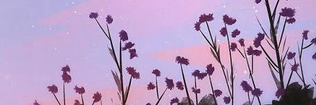 Wabimini9's profile banner image