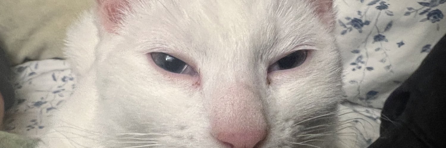 thaiteakween's profile banner image