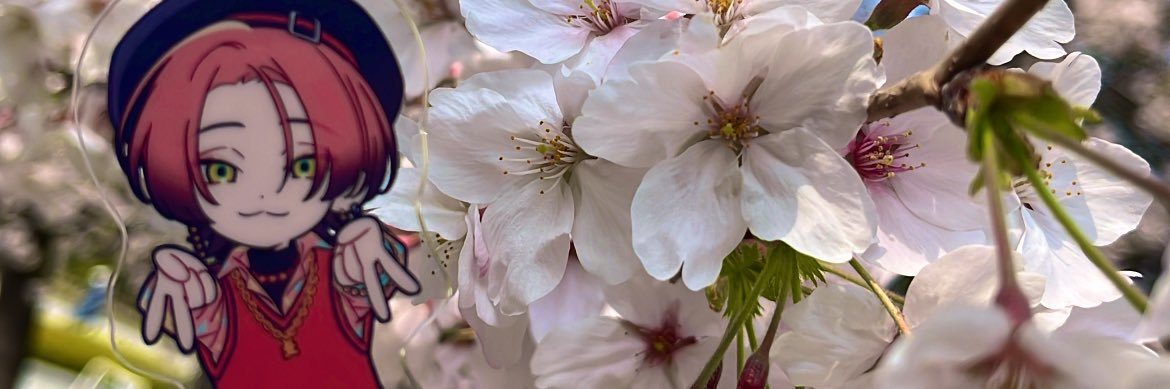 ntm_min's profile banner image