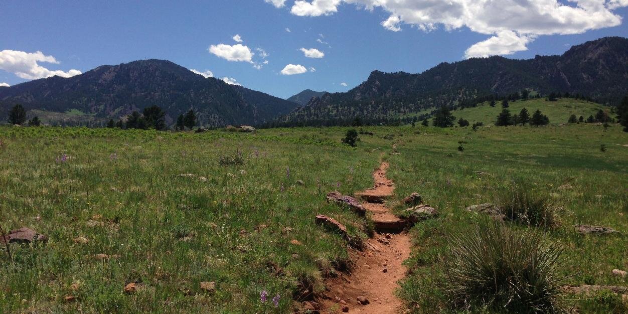 Rachel Kleinfeld banner