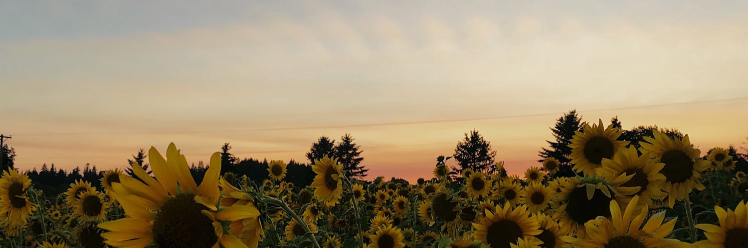 thuyvyng's profile banner image