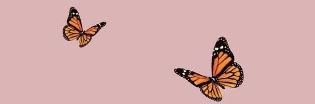 _sassyashh's profile banner image