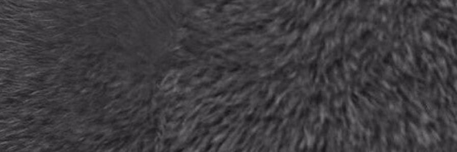 wandercara's profile banner image