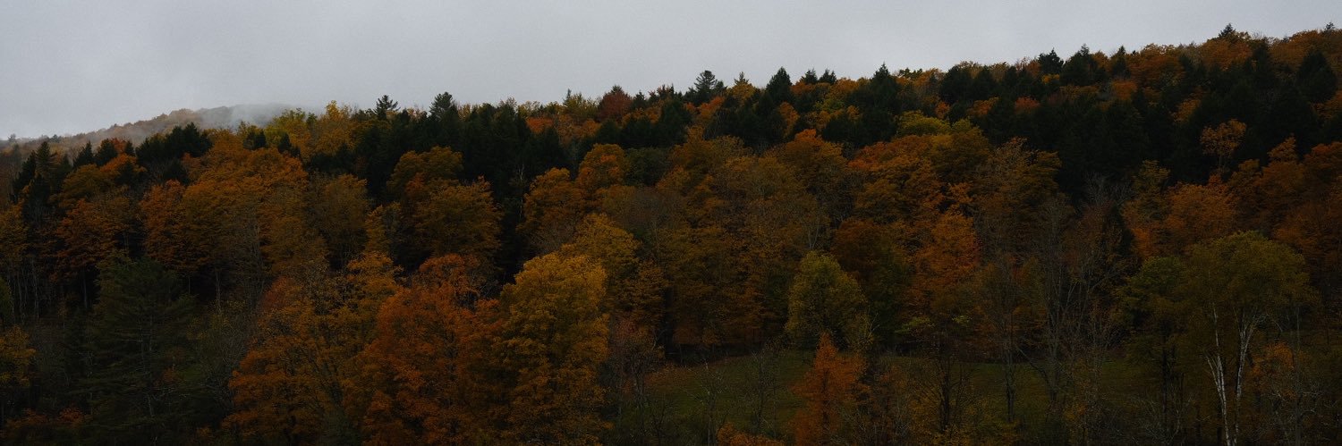 Gabriel_Cisn's profile banner image