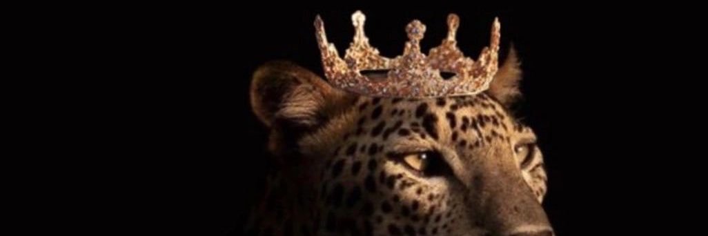 TerriaMarshee_'s profile banner image