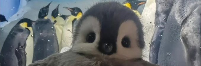 kuwithk's profile banner image
