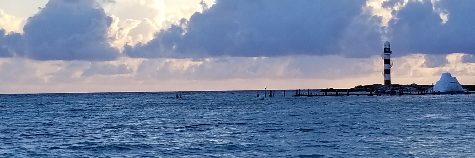 Nicole Simone banner