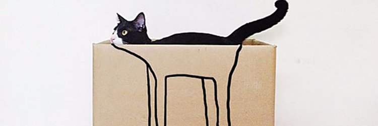 Sarah Carruthers 💙 banner