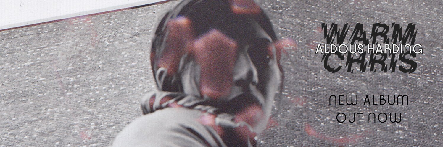 Aldous Harding banner