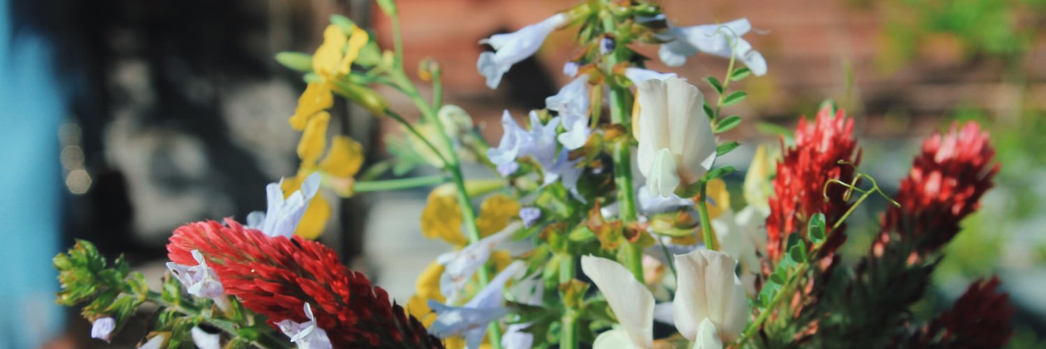 noelleepetty's profile banner image