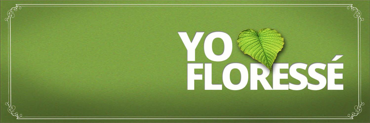 FloresseMaria's profile banner image