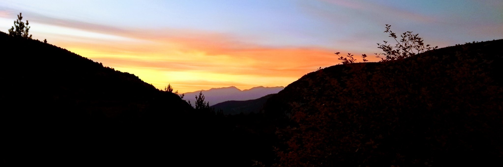 joansarrias's profile banner image