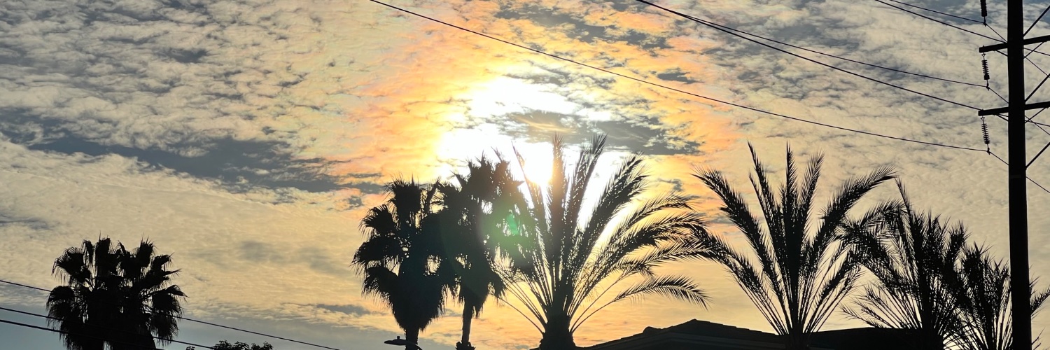 FitFlax's profile banner image