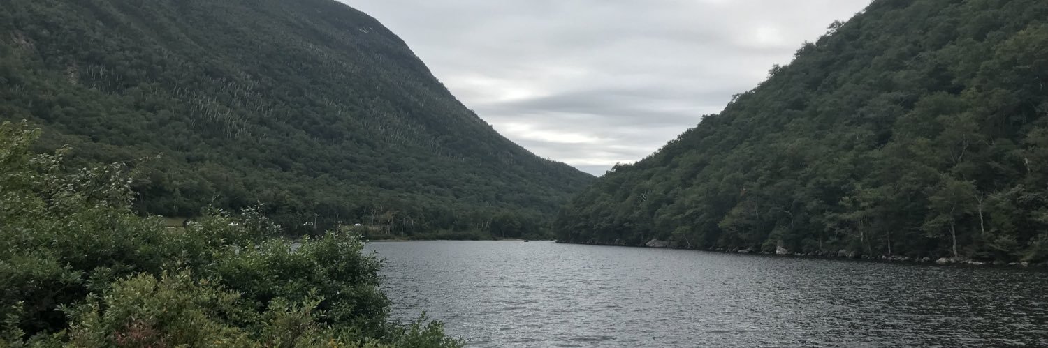 wtftrenton's profile banner image