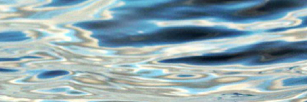 Meli banner