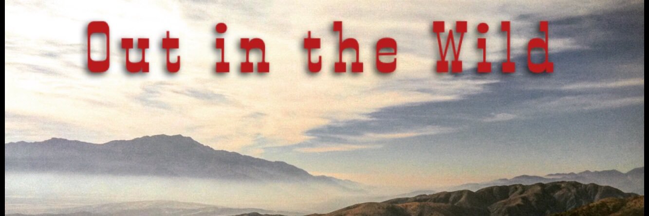 MichaelBornheim's profile banner image