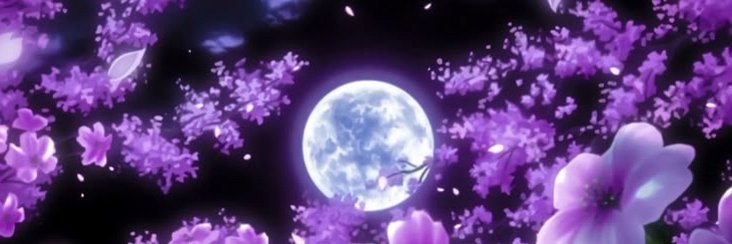 nfldc94's profile banner image