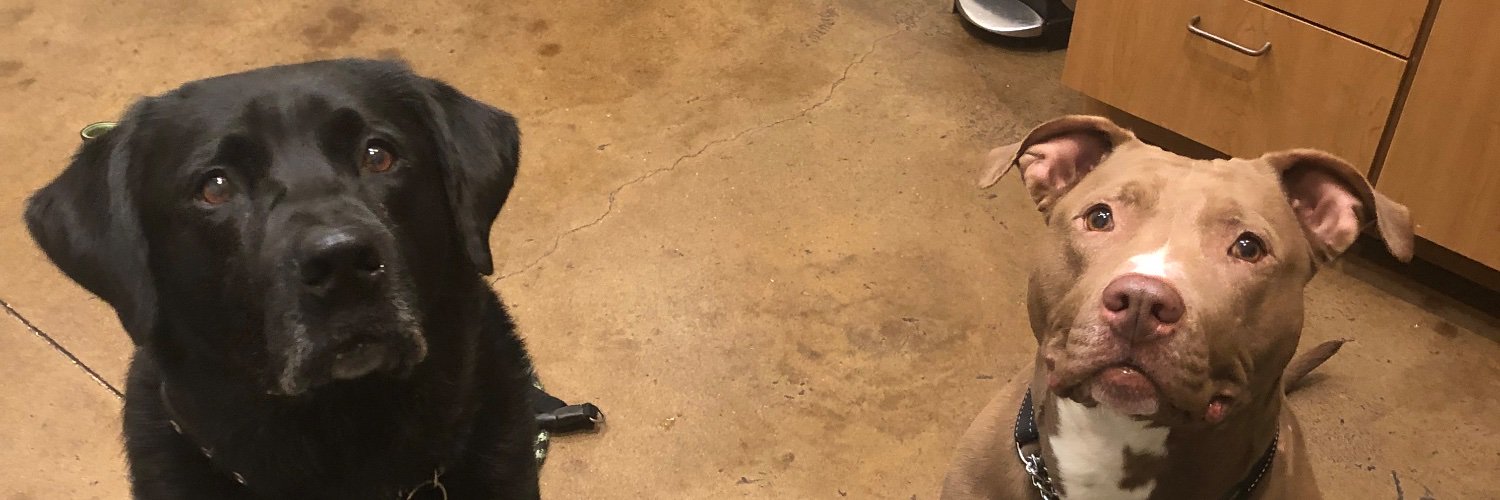 iheartwild's profile banner image