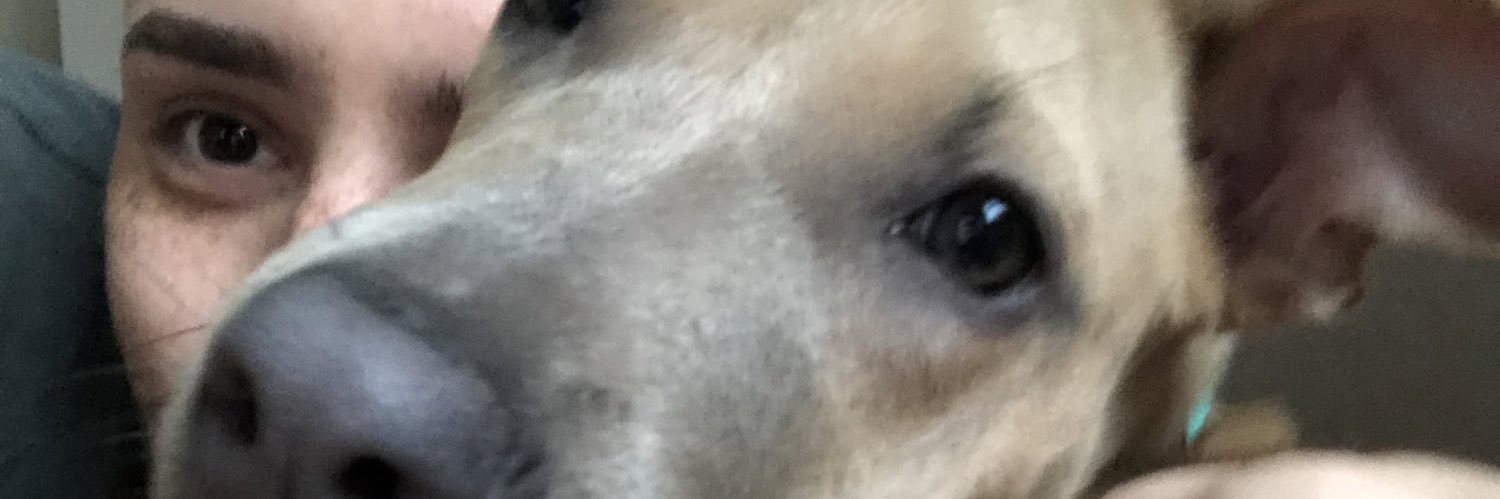 satchelllll's profile banner image