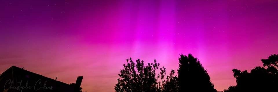 nicodegraef's profile banner image