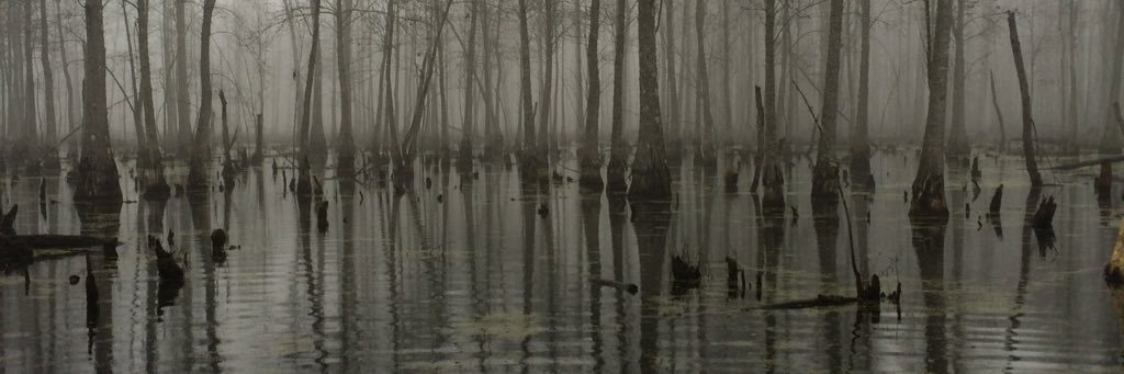 Ryan_N_Gray22's profile banner image