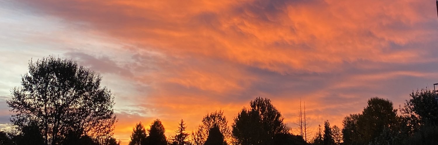 vivitramirez's profile banner image