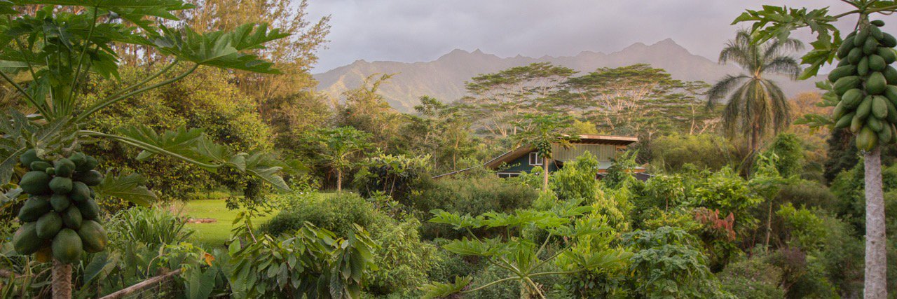 KauaiFarmacy's profile banner image
