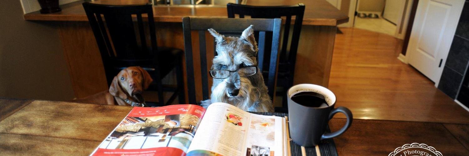 Jennifer Starr banner