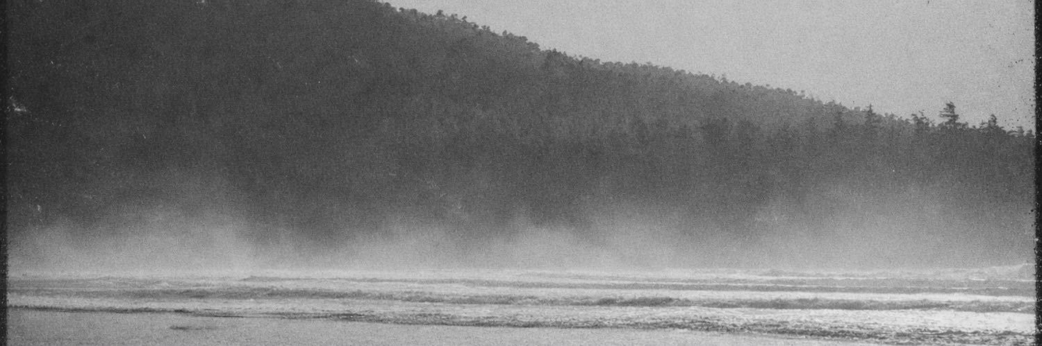 tomalexanderco's profile banner image