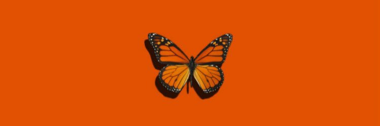 Tayjja's profile banner image