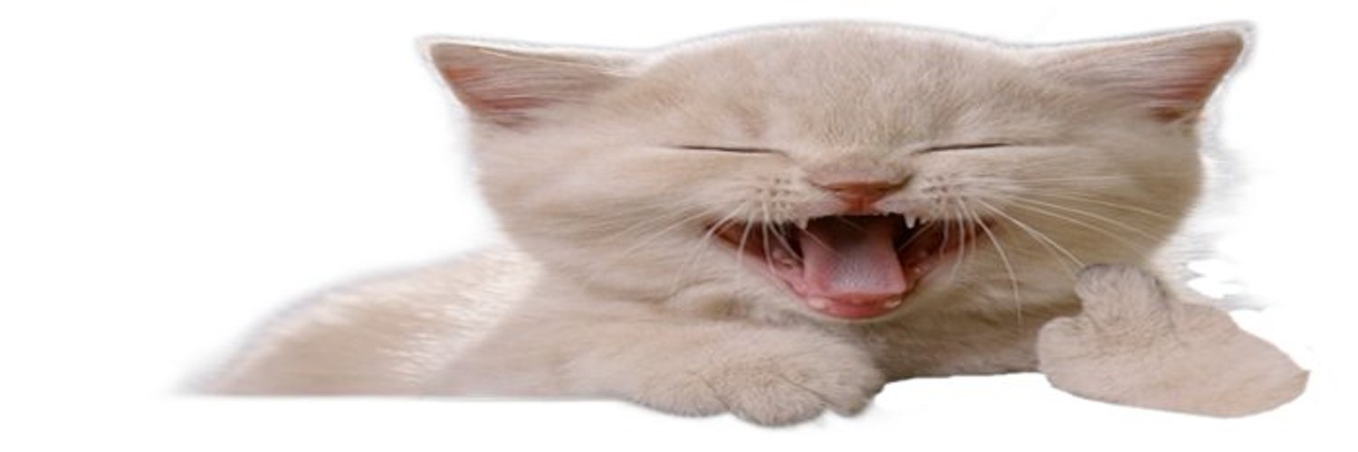 The Smiling Catassin banner
