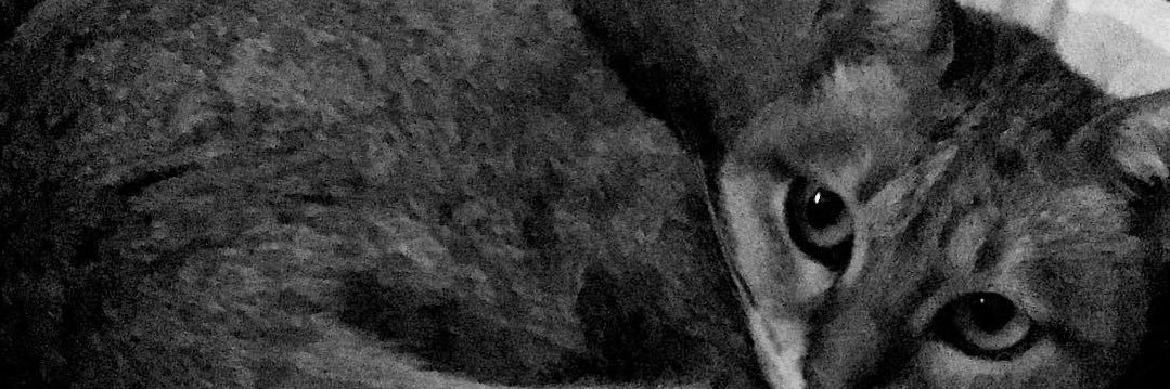 ValuAbate's profile banner image