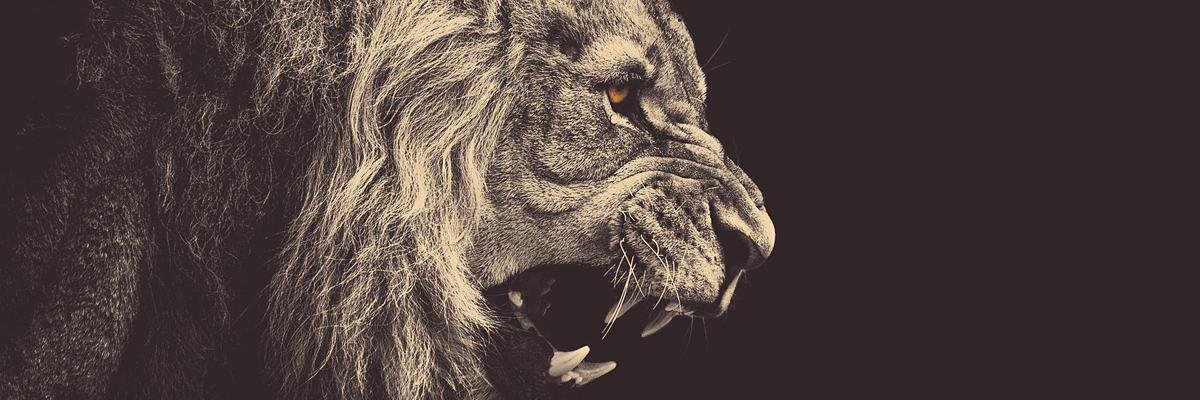 bboypirulin's profile banner image